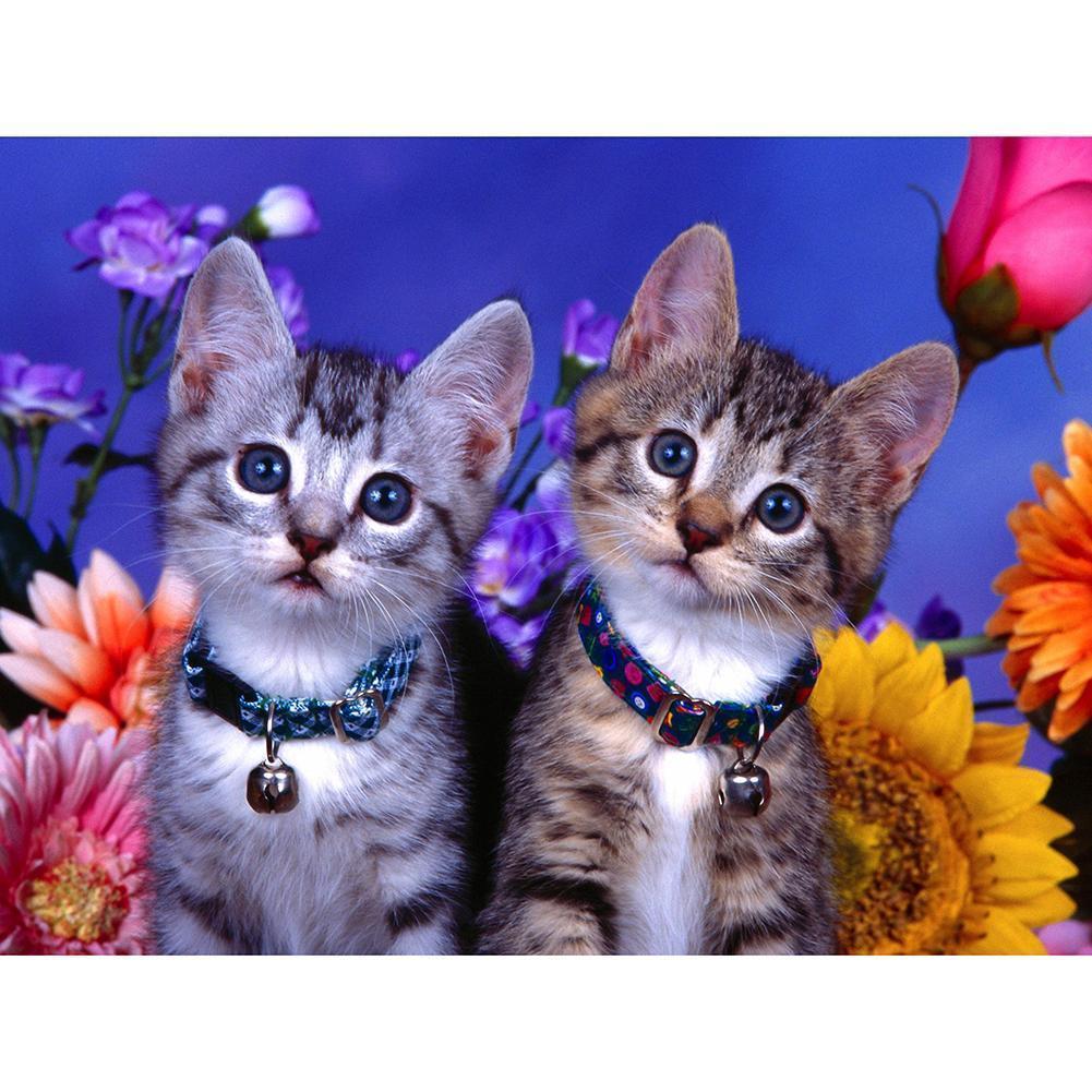 the-official-website-of-katzen-voller-runder-diamant-40x30cm-discount_0.jpg