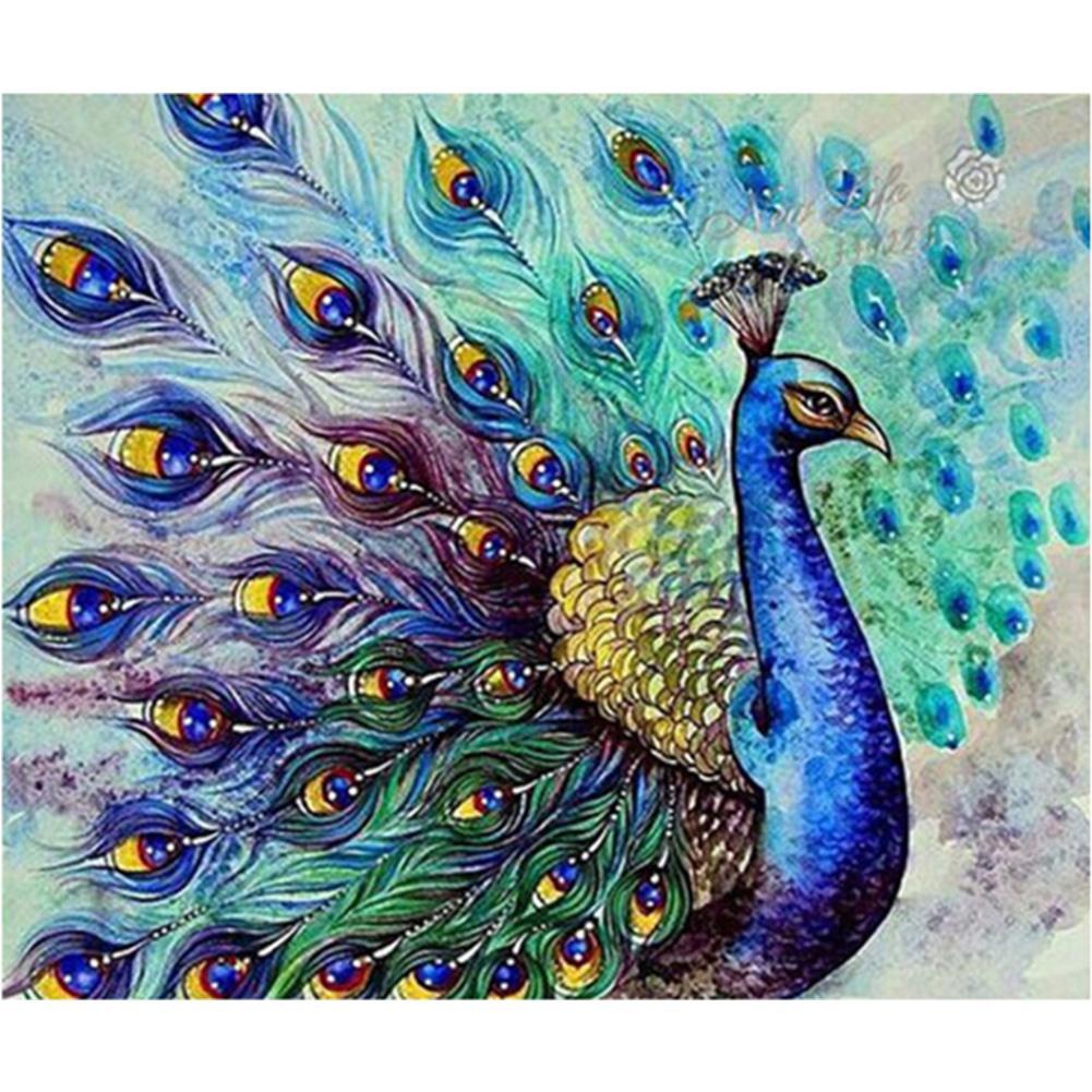 shop-our-huge-collection-of-pfau-voller-quadratischer-diamant-50x40cm-hot-on-sale_0.jpg