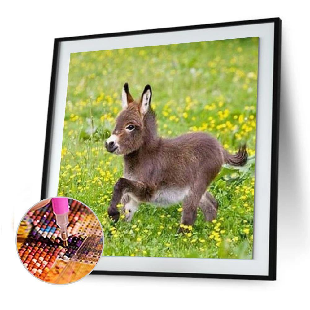 best-online-esel-voller-runder-diamant-30x30cm-on-sale_1.jpg