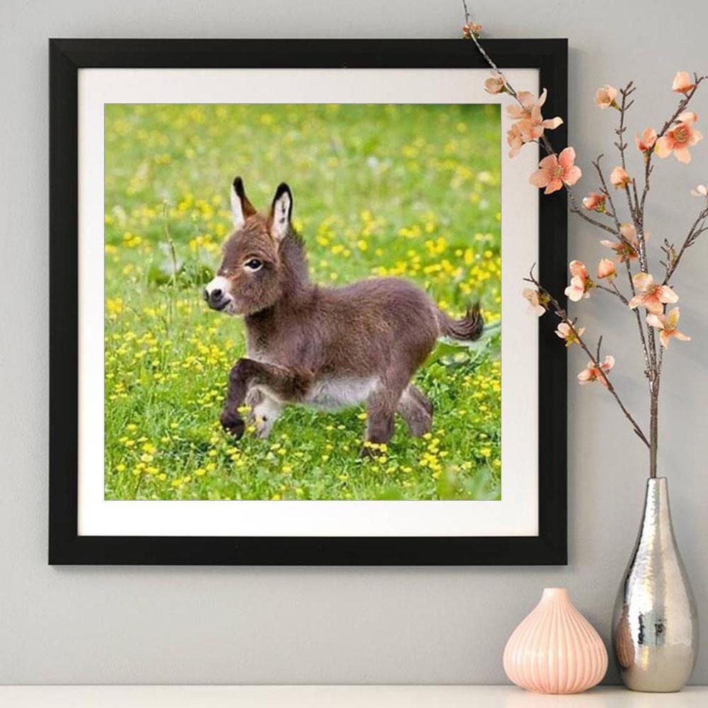 best-online-esel-voller-runder-diamant-30x30cm-on-sale_3.jpg