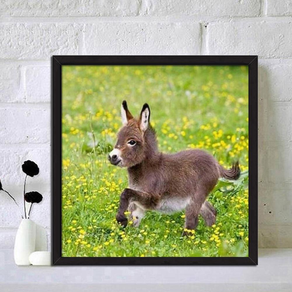 best-online-esel-voller-runder-diamant-30x30cm-on-sale_5.jpg