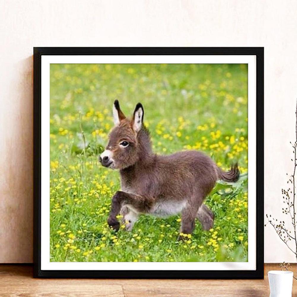 best-online-esel-voller-runder-diamant-30x30cm-on-sale_8.jpg