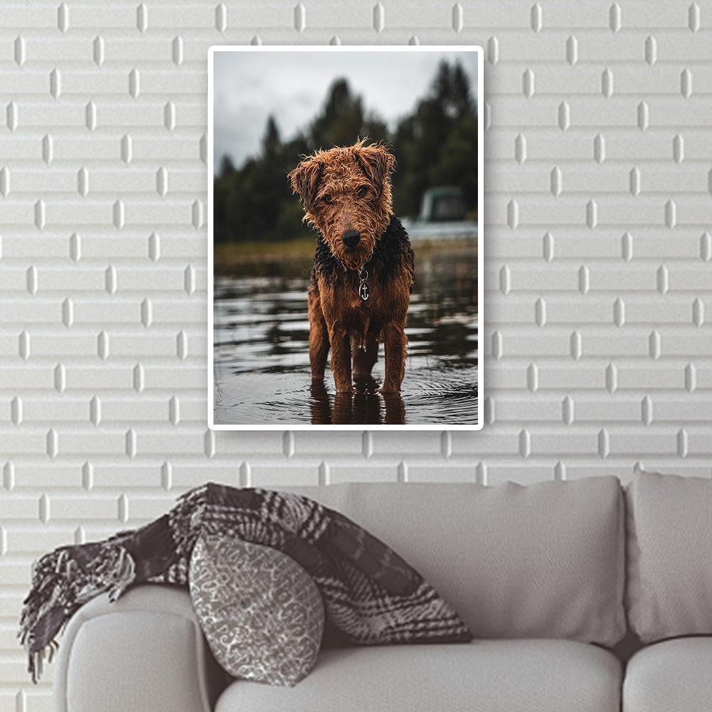buy-cheap-wholesale-hund-voller-runder-diamant-30x40cm-sale_2.jpg