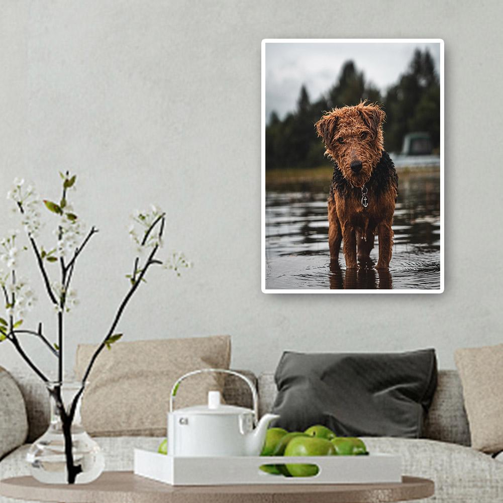 buy-cheap-wholesale-hund-voller-runder-diamant-30x40cm-sale_3.jpg