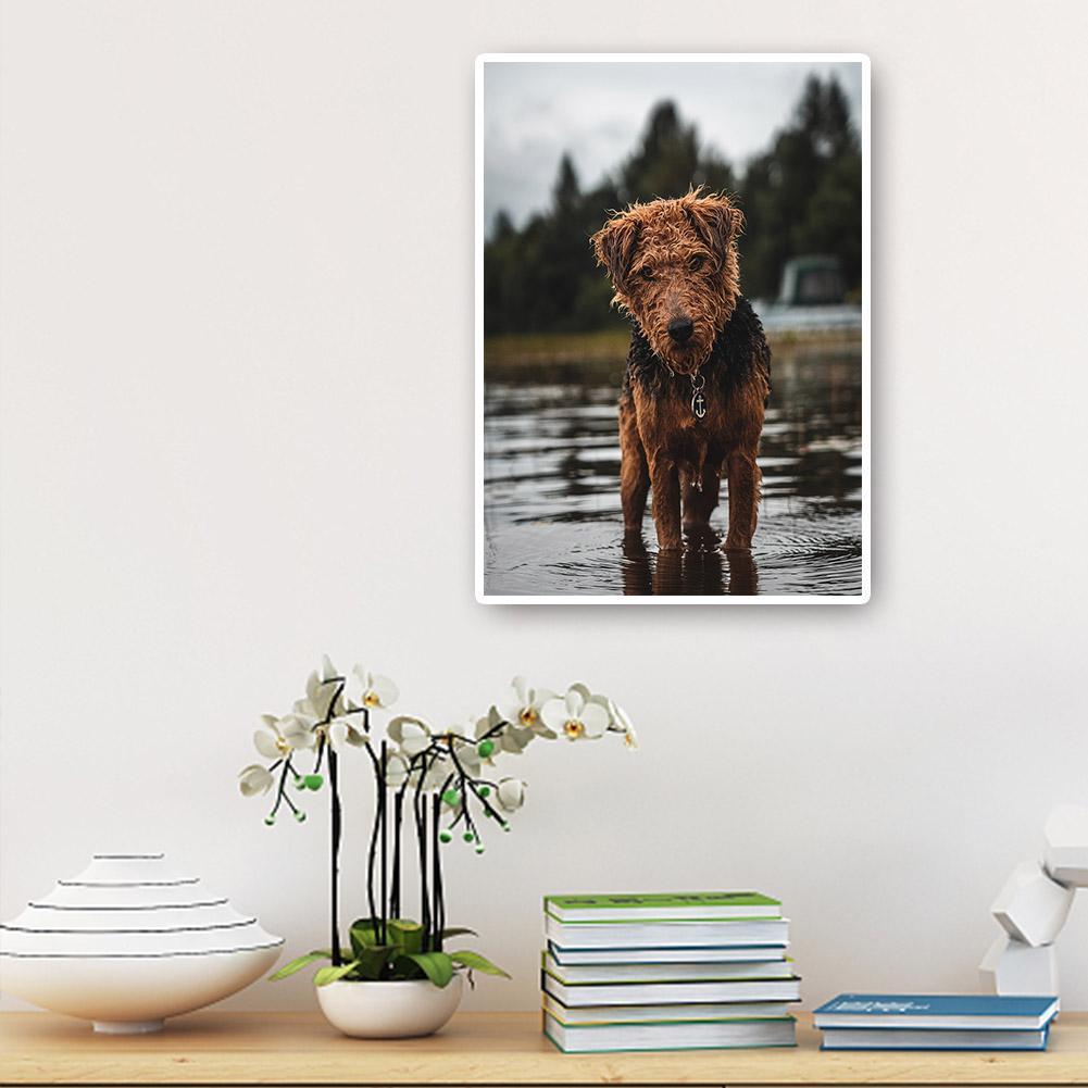 buy-cheap-wholesale-hund-voller-runder-diamant-30x40cm-sale_4.jpg