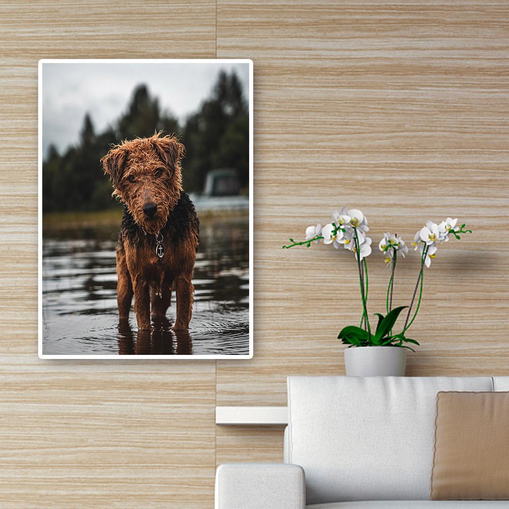 buy-cheap-wholesale-hund-voller-runder-diamant-30x40cm-sale_5.jpg