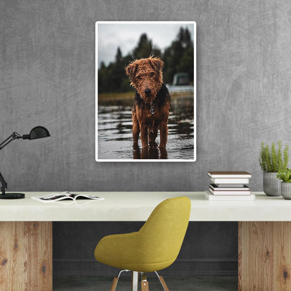 buy-cheap-wholesale-hund-voller-runder-diamant-30x40cm-sale_6.jpg