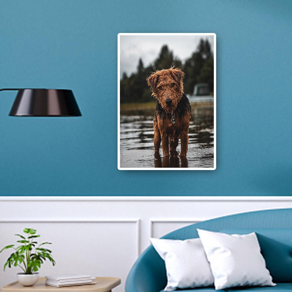 buy-cheap-wholesale-hund-voller-runder-diamant-30x40cm-sale_7.jpg