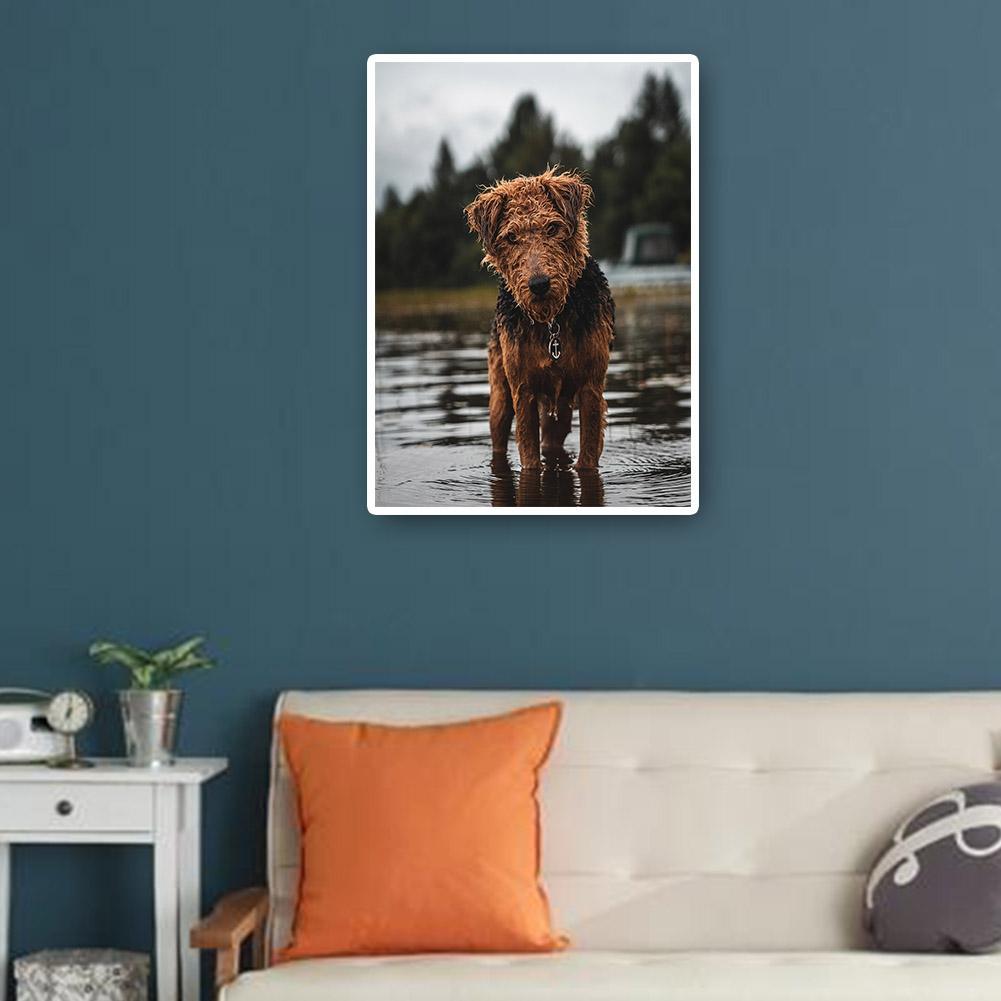 buy-cheap-wholesale-hund-voller-runder-diamant-30x40cm-sale_8.jpg