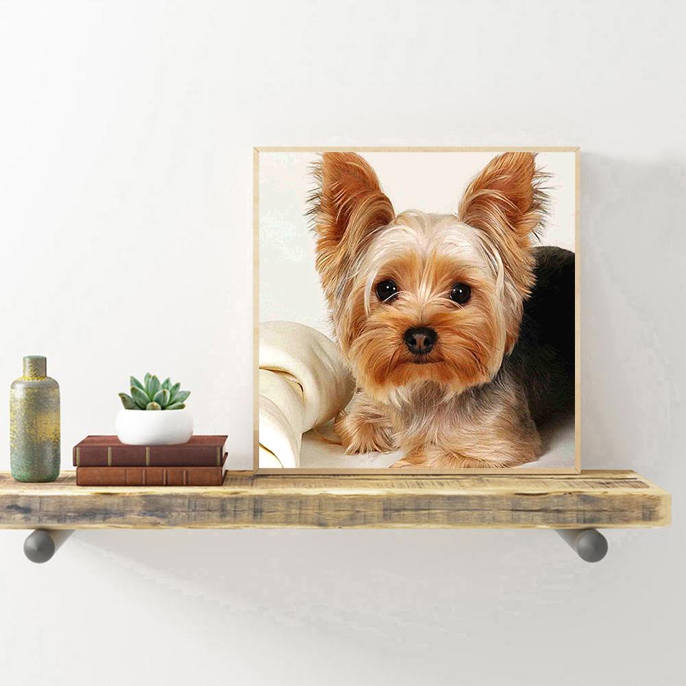 buying-hund-tier-voller-runder-diamant-30x30cm-online-sale_1.jpg
