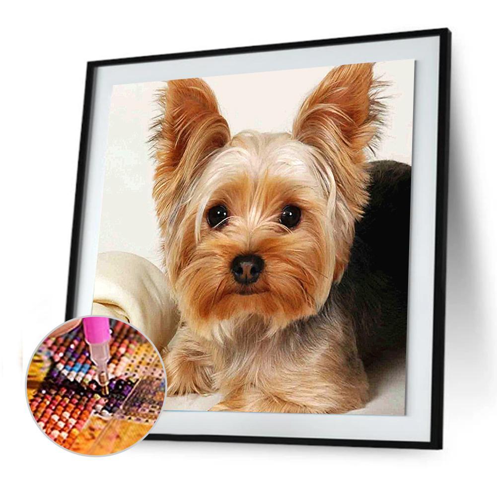 buying-hund-tier-voller-runder-diamant-30x30cm-online-sale_3.jpg