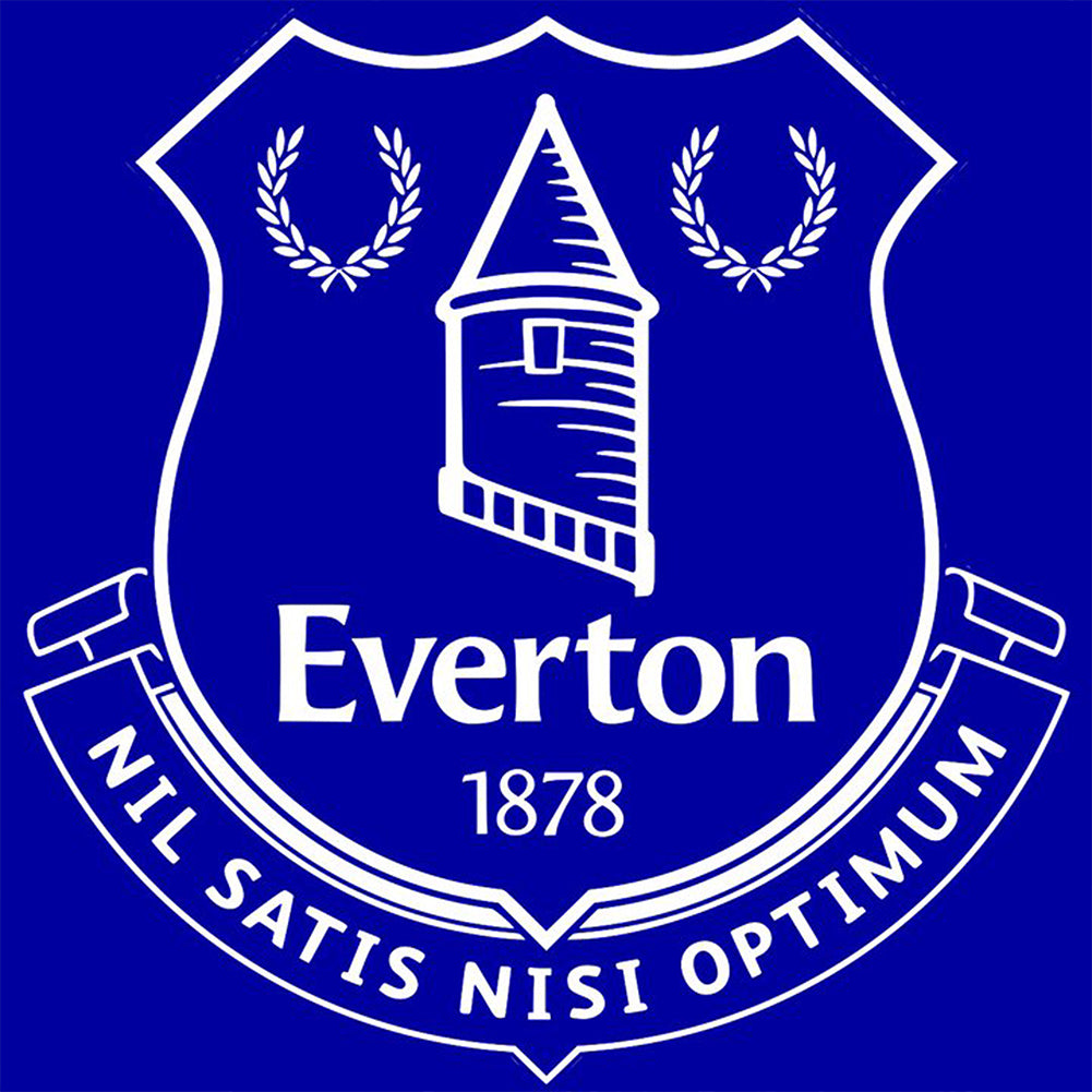 sell-and-buy-everton-football-club-voller-diamond-painting-40x40cm-sale_0.jpg