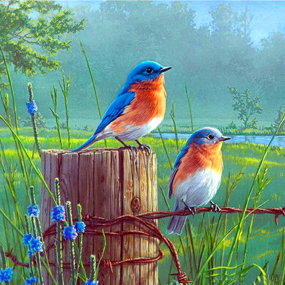 buying-stehende-vogel-voller-runder-diamant-30x30cm-sale_0.jpg