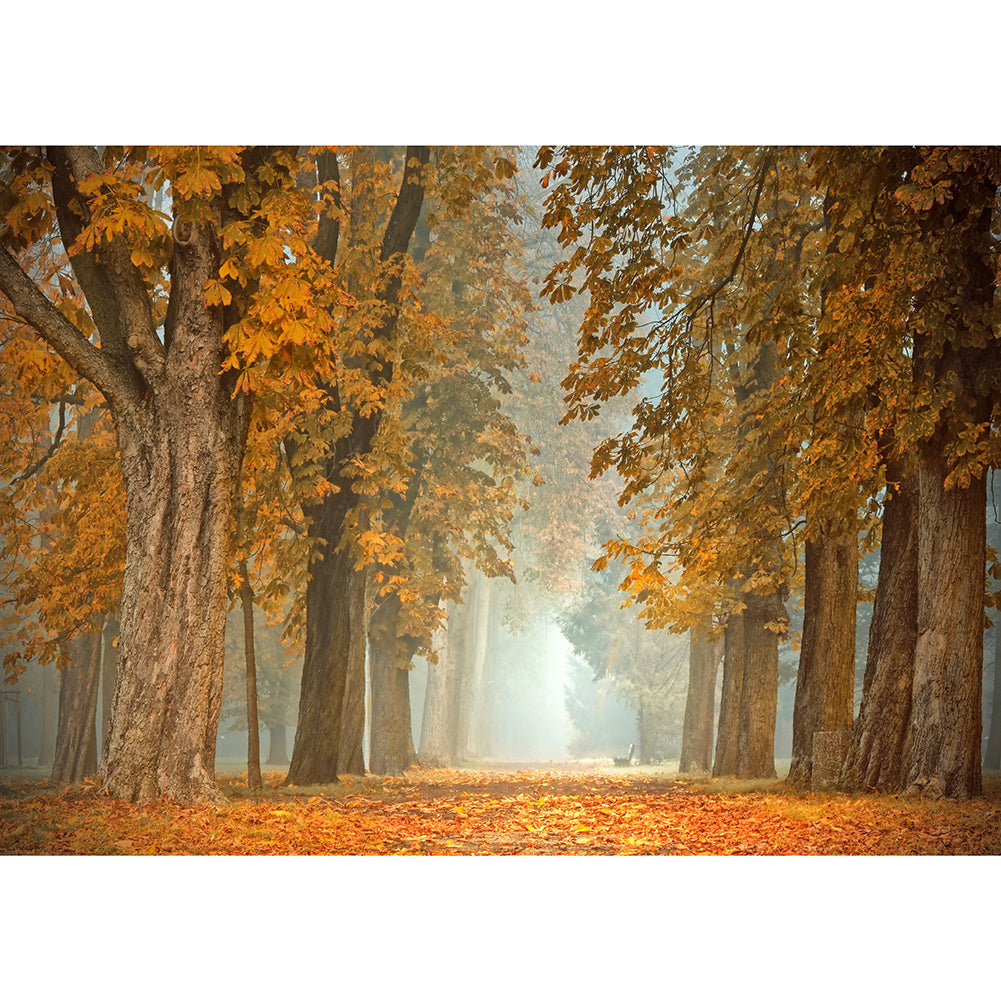shop-our-huge-collection-of-landschaft-voller-runder-diamant-40x30cm-online-sale_0.jpg
